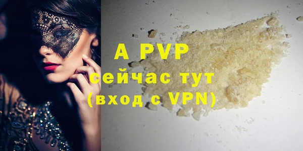 гашик Арсеньев