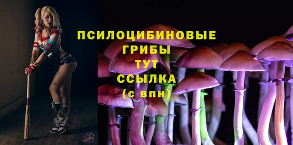 a pvp Армянск