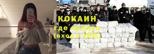 гашик Арсеньев