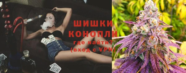 гашик Арсеньев
