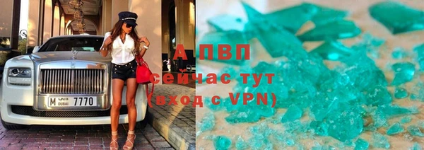 гашик Арсеньев
