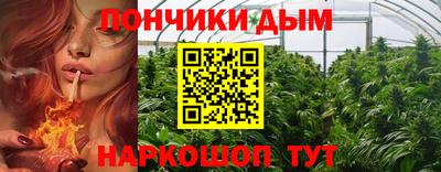 PSILOCYBIN Балахна