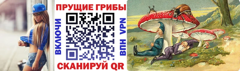 Псилоцибиновые грибы Psilocybe даркнет сайт Горно-Алтайск