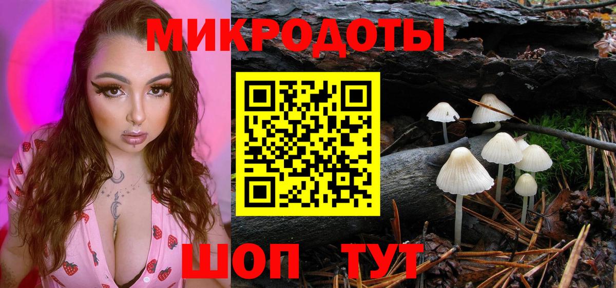 закладки  Псилоцибиновые грибы Cubensis  Вход с VPN  Горно-Алтайск 