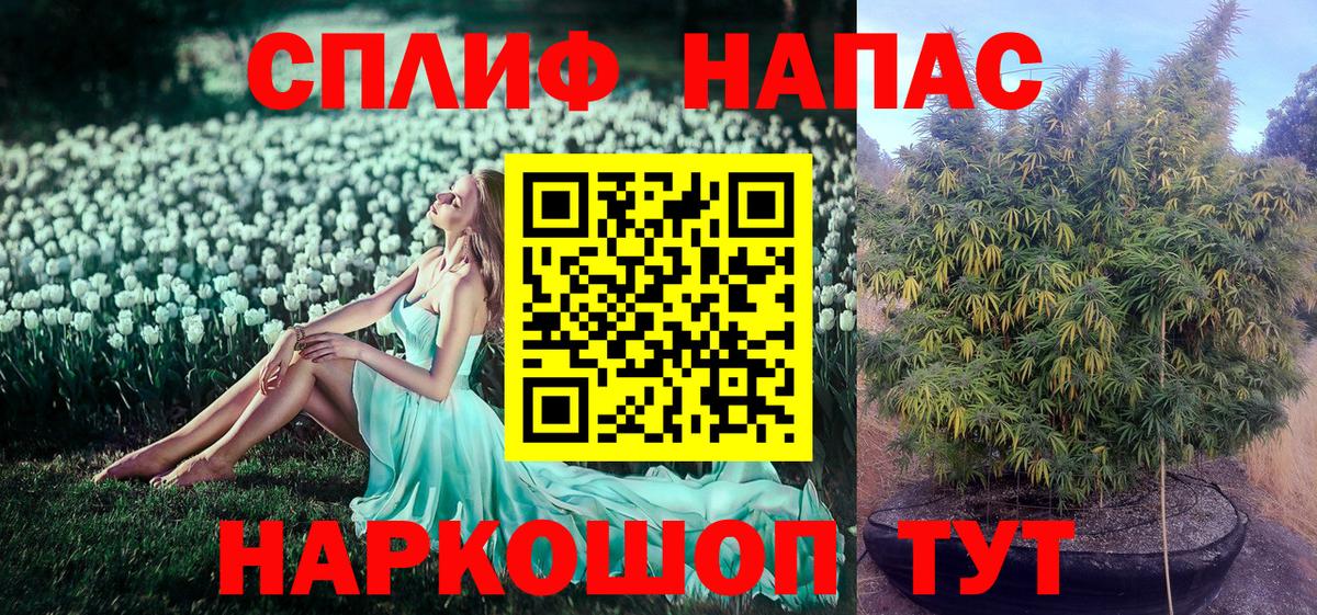 Шишки марихуана планчик Горно-Алтайск